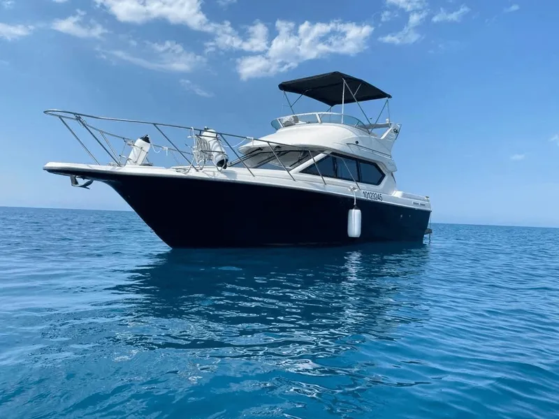 Bayliner 288 Ciera Flybridge